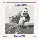 Lunatic Sonority - Running Back (Extended Mix)