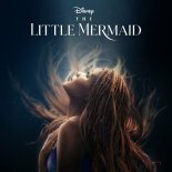 Halle - Part of Your World (From The Little Mermaid)