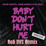 David Guetta, Anne-Marie & Coi Leray - Baby Don't Hurt Me (Rob DVS Remix)