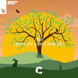 Tribu - Tree Of Life (Vijay & Sofia Extended Edit)