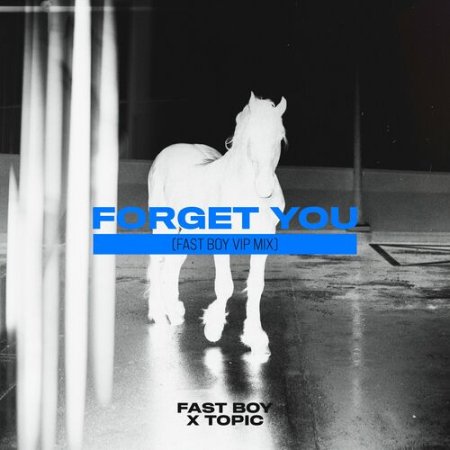 Fast Boy, Topic - Forget You (Fast Boy VIP Mix)