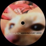 Tom Wilson - Techno Cat 3002 (CJ Stone Remix)