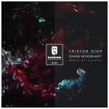 Tristan Dior - Leaving Wonderland (Original Mix)