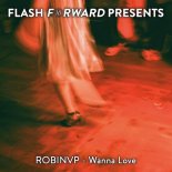 RobinVP - Wanna Love (Original Mix)