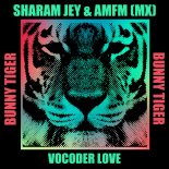 Sharam Jey & AMFM (MX) - Vocoder Love (Original Mix)