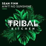 Sean Finn - Ain't No Sunshine (Extended Mix)