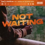 Pellegrini ft. Natalie Cleveland - Not Waiting