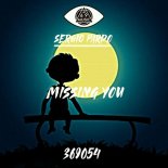 Sergio Pardo - Missing (Original Mix)
