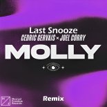 Cedric Gervais x Joel Corry - MOLLY (Last Snooze Remix)