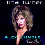 Tina Turner - The Best (Alex Jungle Remix)