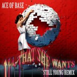 Ace Of Base - All That She Wants (Still Young Extended Remix)