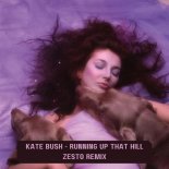 Kate Bush - Running Up That Hill (Zesto Remix)