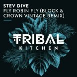 Stev Dive - Fly Robin Fly (Block & Crown Vintage Extended Remix)