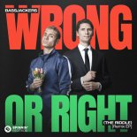 Bassjackers - Wrong or Right (The Riddle) [L3N Remix]