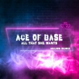 Ace Of Base - All That She Wants (Helion Remix)