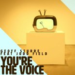 Geoff Sturre Feat. Judd Field - You're The Voice