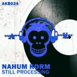 Nahum Korm - Still Processing (Original Mix)