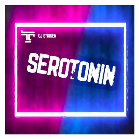 TranzistorZ X DJ Striden - Serotonin