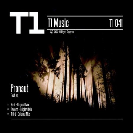 P r o n a u t - Third (Original Mix)