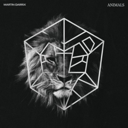 Martin Garrix - Animals (Lucas & Steve Flip)