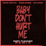 David Guetta & Anne-Marie Feat. Coi Leray - Baby Don't Hurt Me (Sofi Tukker Remix Extended)