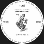 Robiin, Aushen - Gypsy Fluke (Original Mix)