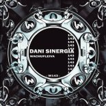 Dani Sinergia - Wachufleiva 143-2 (Original Mix)