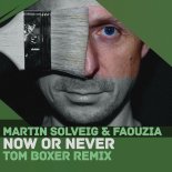 Martin Solveig & Faouzia - Now or Never (Tom Boxer remix)