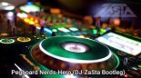 Pegboard Nerds - Hero (DJ ZaSta Bootleg)