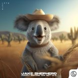 Jake Shepherd - Happy Before We Get Old