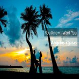 Angelos Zgaras - You Know I Want You (Radio Edit)