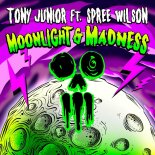 Tony Junior ft. Spree Wilson - Moonlight & Madness (Extended Mix)