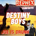 Rednex The Cubeguys - Joe is Drunk (Destiny VIP MashUp)