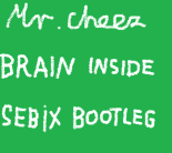 Mr.Cheez - Brain Inside (DJ Sebix Vixa Bootleg 2023)