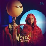 Olivia Addams - Never Say Never (DJ Brooklyn Edit)