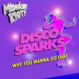 Disco Sparks - Why You Wanna Do That (Extended Mix)