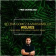 Marshmello ft. Selena Gomez - Wolves (Carlo Esse Italodance Remix)