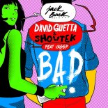 David Guetta & Showtek & VASSY - Bad (RGGD Remix)