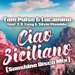 Tom Pulse & Lucamino feat. C.R. Easy & Silvio Piseddu - Ciao Siciliano (Sunshine Disco Extended Mix)