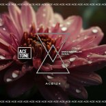 SWS X Max Millan - Soul (Original Mix)