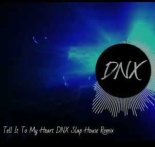 Taylor Dayne - Tell It To My Heart ( DNX Slap House Remix )