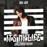 Bon Jovi - It's My Life (Gallardo Remix)