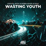 Crystal Rock Feat. Robin White & Pule - Wasting Youth