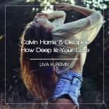 Calvin Harris & Disciples - How Deep Is Your Love (Liva K Remix)