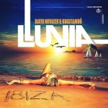 David Novacek & Kuisitambo - Lluvia (Original Mix)
