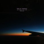 Felix Cartal - Get What You Give (DLMT x VANRIP Remix)
