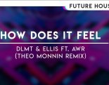 DLMT & Ellis feat. AWR - How Does It Feel (Theo Monnin Remix)