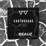 Disco Fries - Earthquake [BEAUZ FUTURE HOUSE Remix]