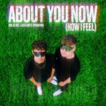 Niklas Dee, Luca-Dante Spadafora - About You Now (How I Feel)