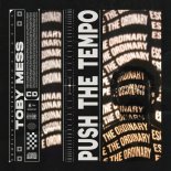 Toby Mess - Push The Tempo (Original Mix)